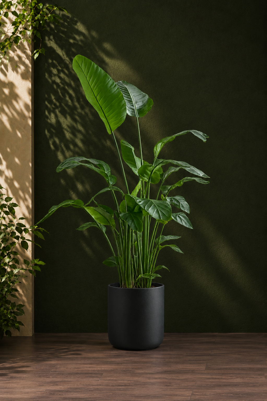 Bird of Paradise Main image