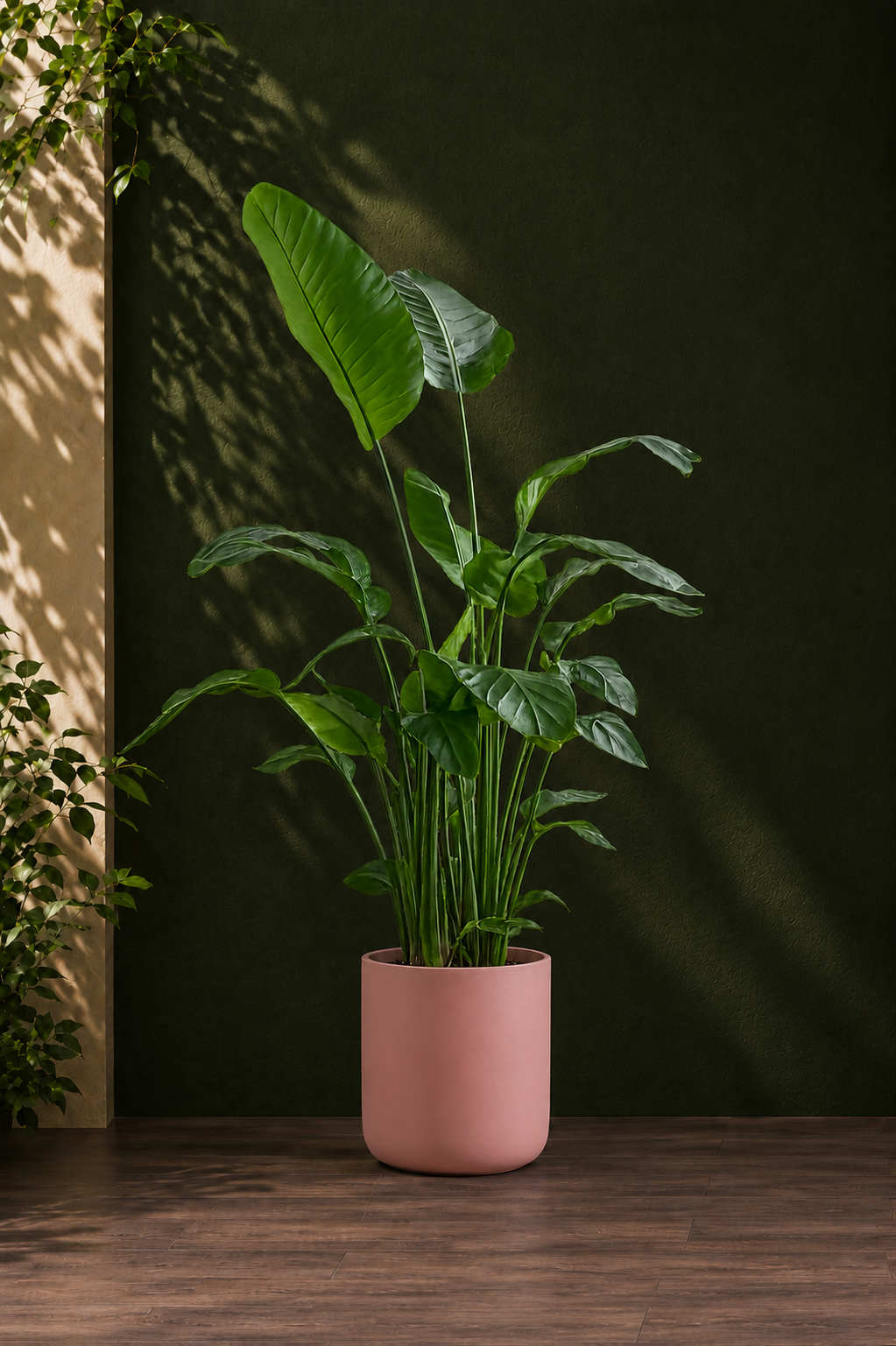 Bird of Paradise