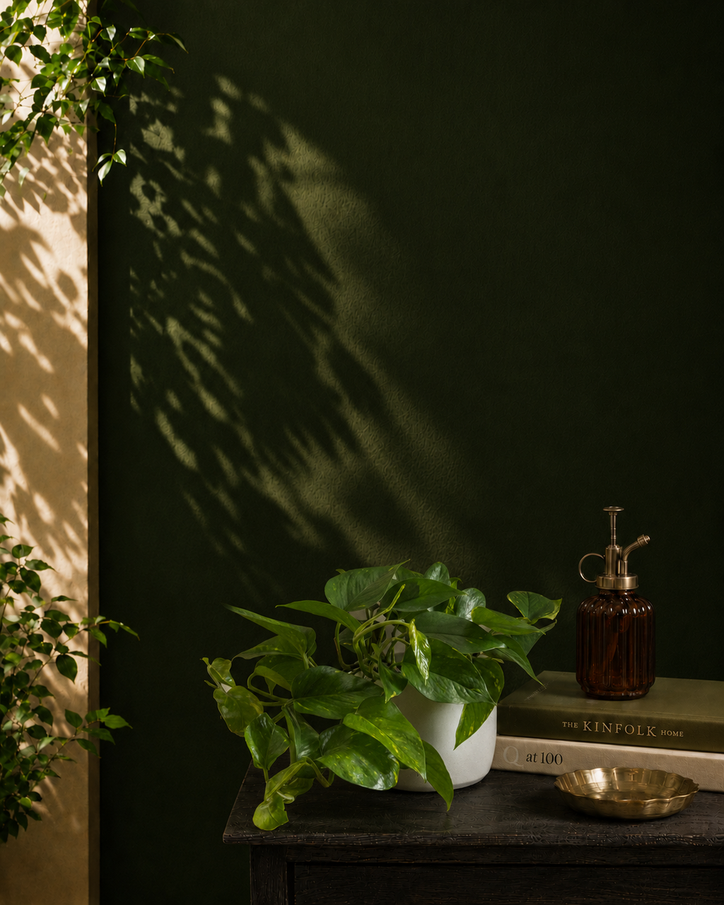 Money Plant