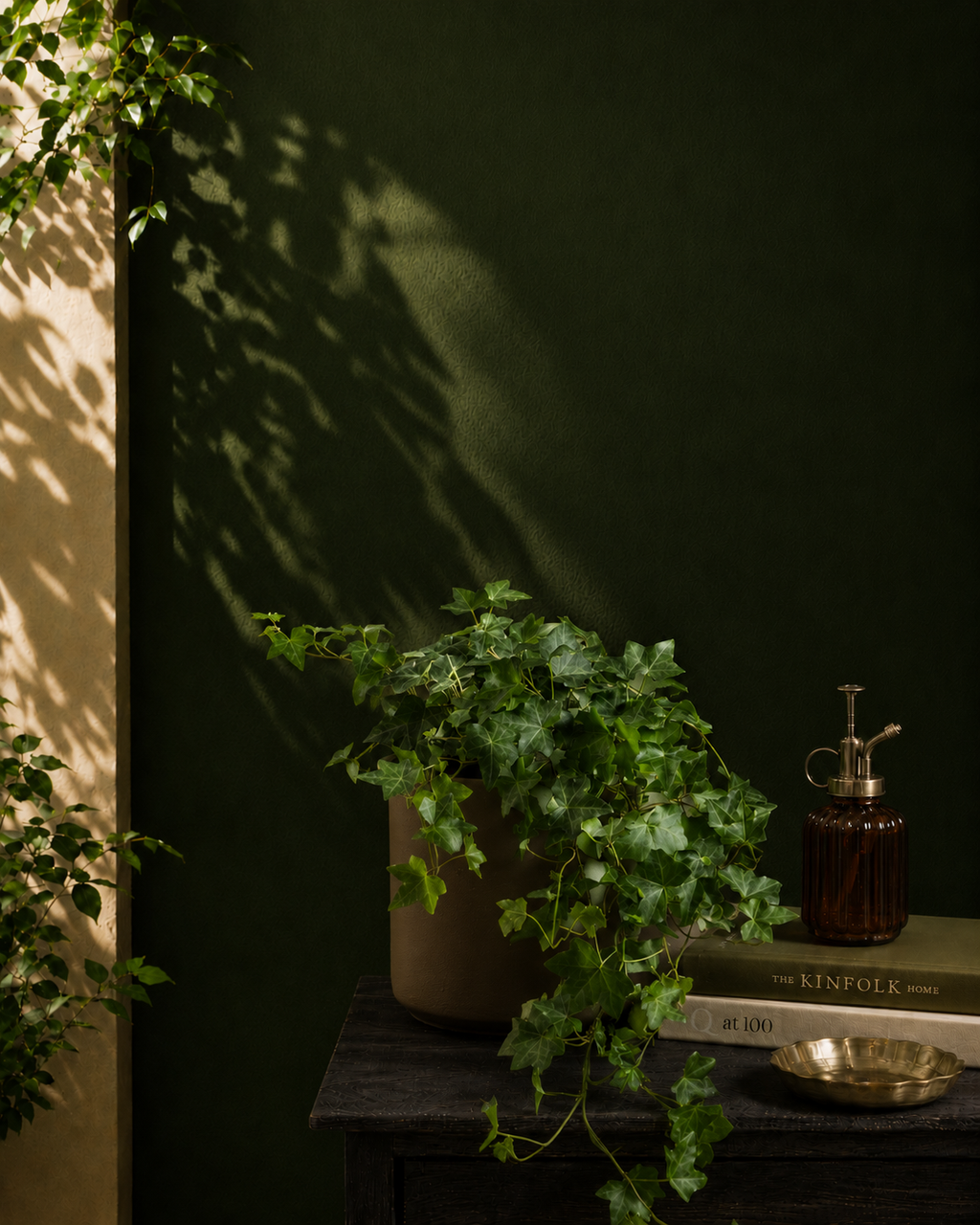 English Ivy