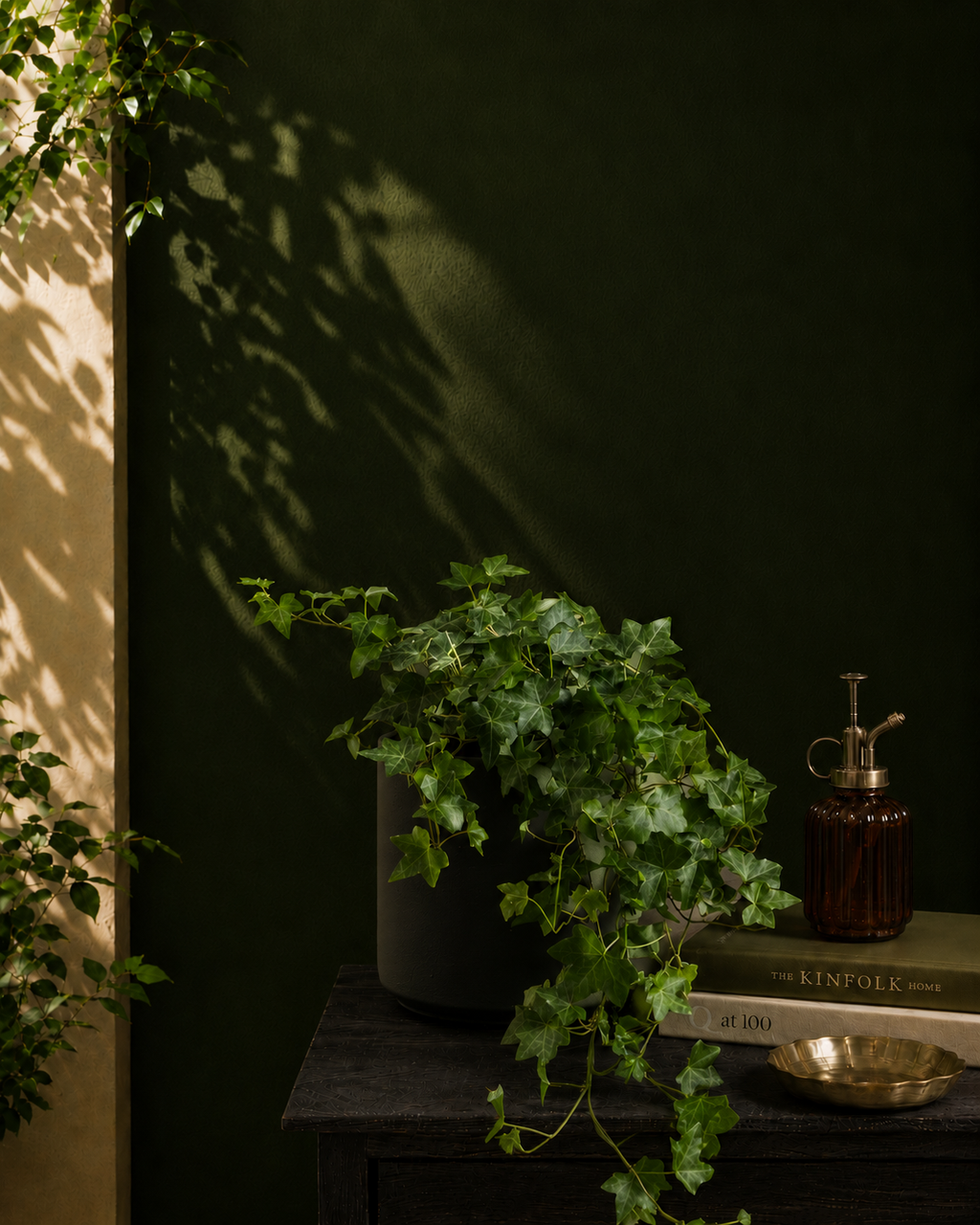 English Ivy