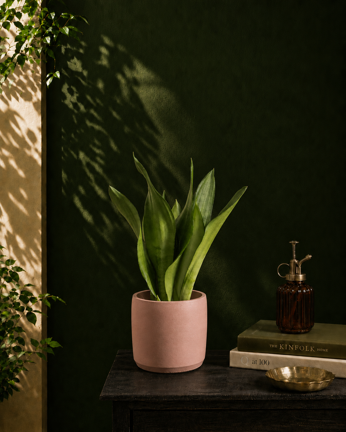 Moonshine Snake Plant Secondary image
