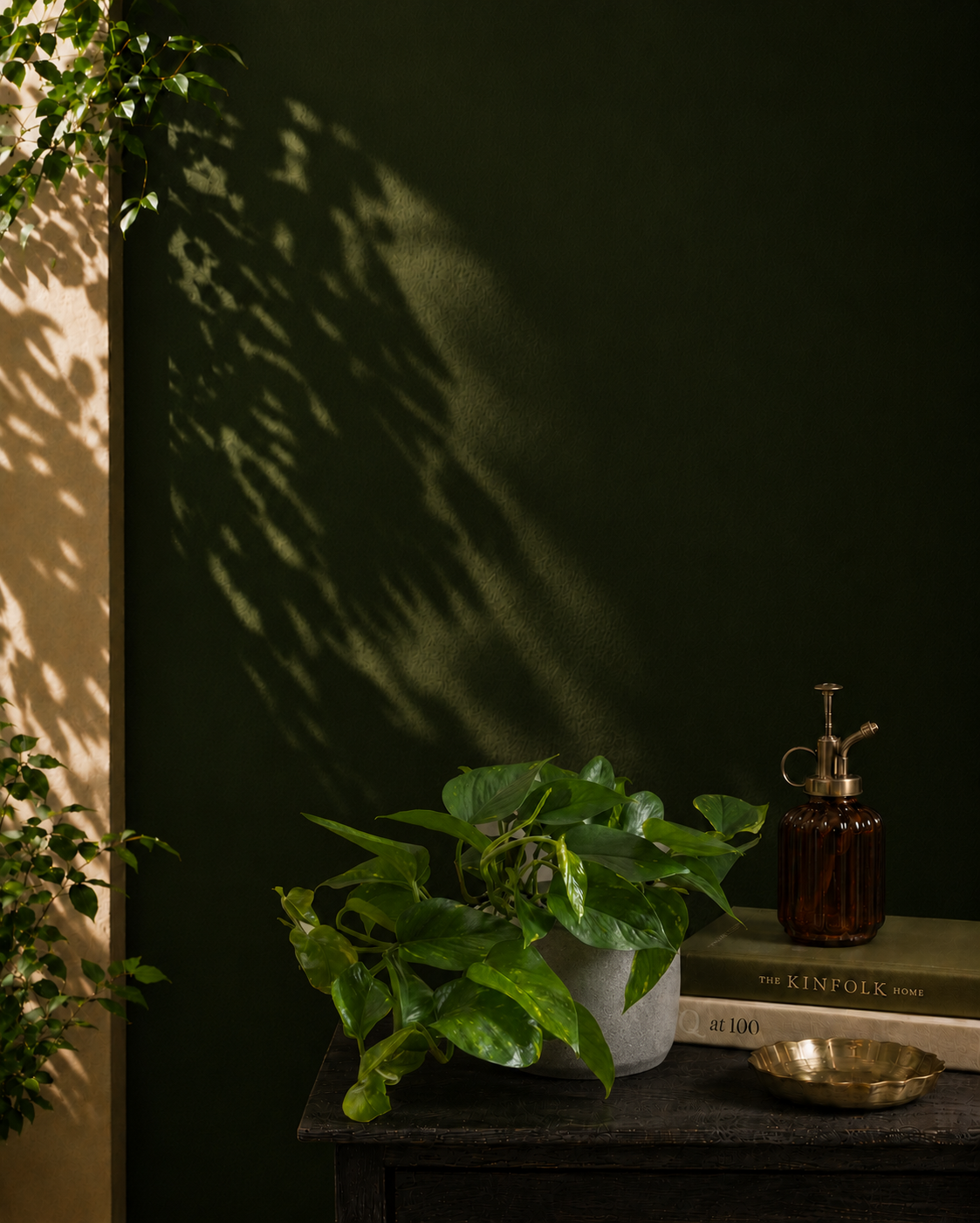 Money Plant