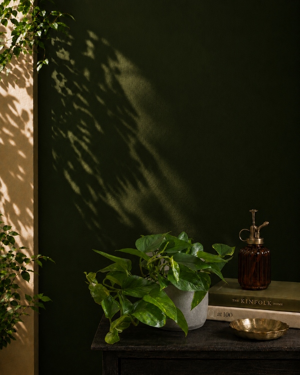 Money Plant