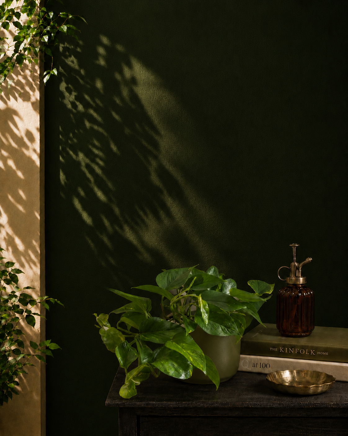 Money Plant