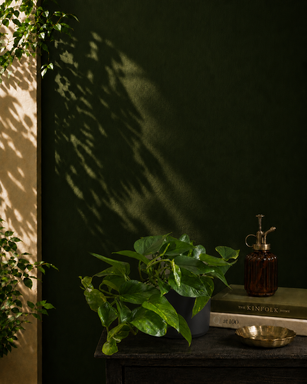 Money Plant