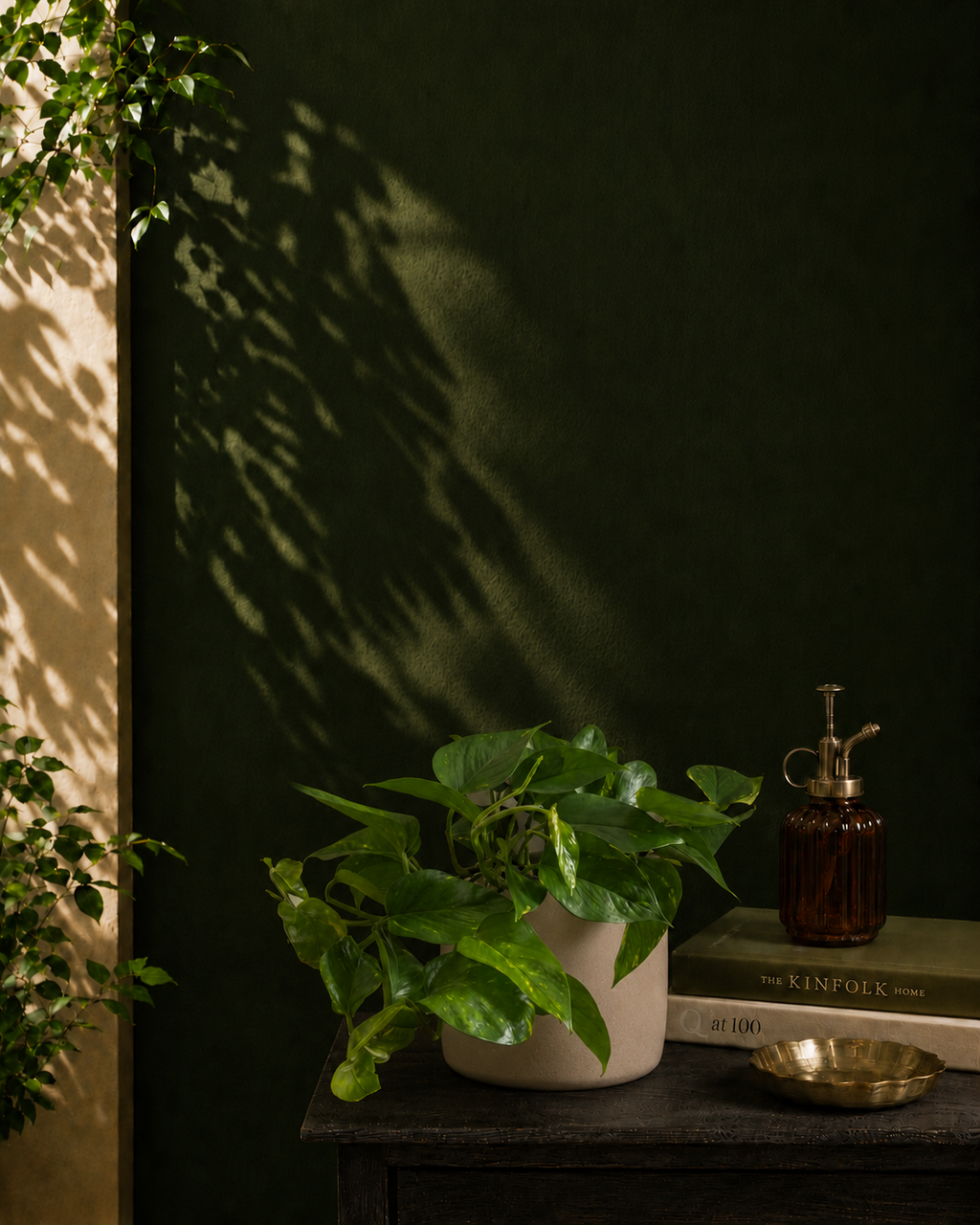 Money Plant