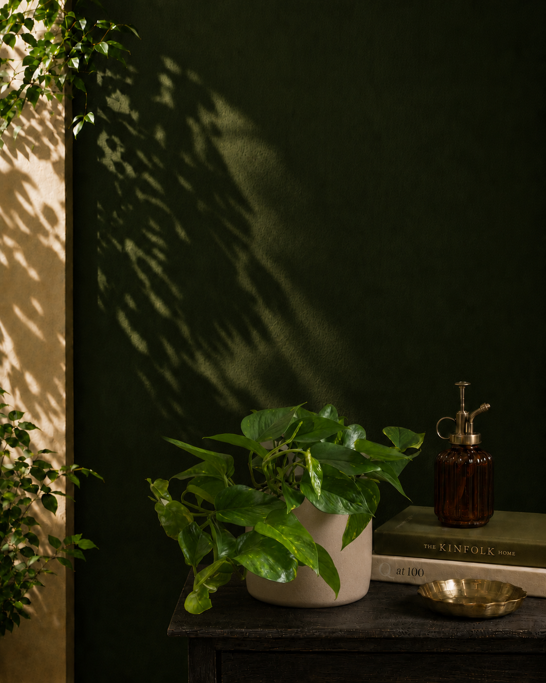 Money Plant