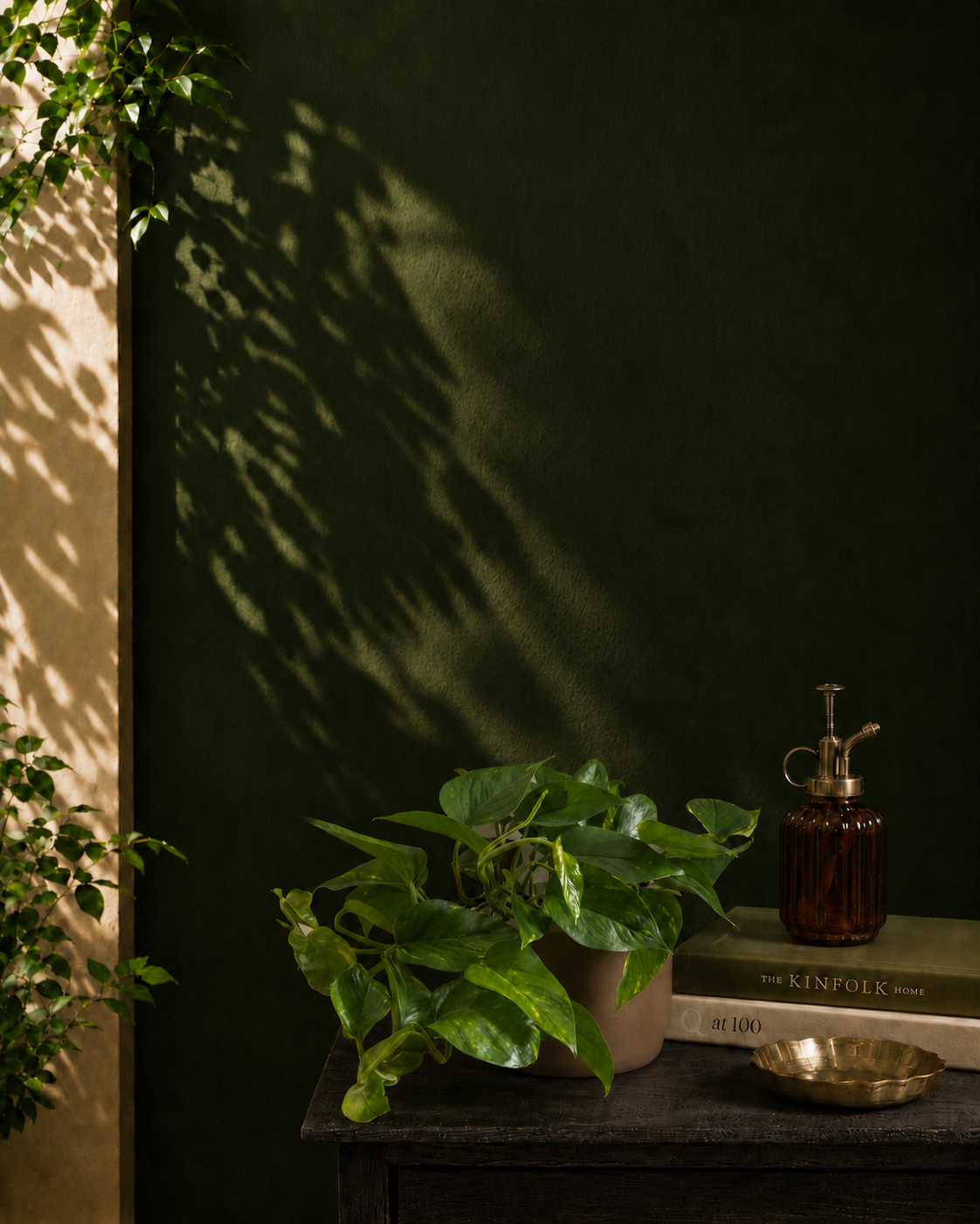 Money Plant